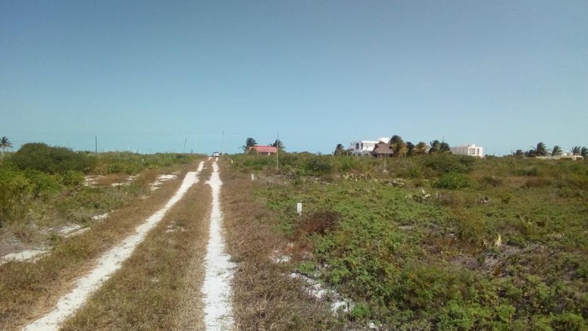 Picture of Residential Land For Sale in Chicxulub Pueblo, Yucatan, Mexico
