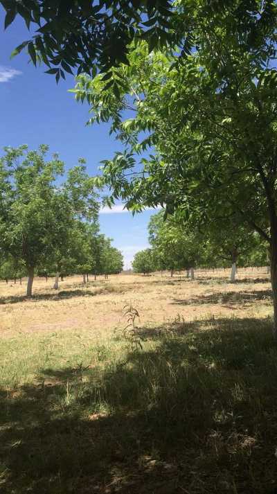 Development Site For Sale in Chihuahua, Mexico