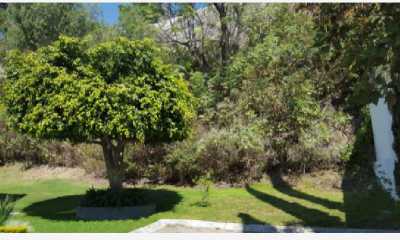 Residential Land For Sale in Jalisco, Mexico