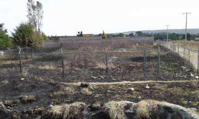 Residential Land For Sale in San Miguel El Alto, Mexico