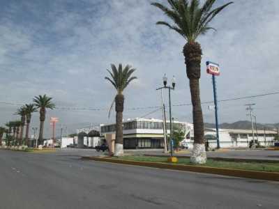 Office For Sale in Playa Vicente, Mexico