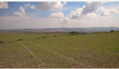 Residential Land For Sale in Genaro Codina, Mexico