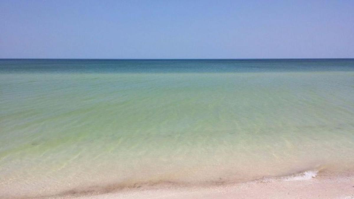 Picture of Residential Land For Sale in Telchac Puerto, Yucatan, Mexico