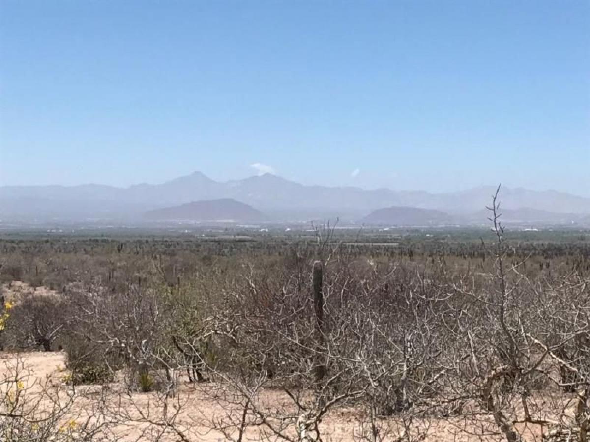 Picture of Residential Land For Sale in La Paz, Baja California Sur, Mexico