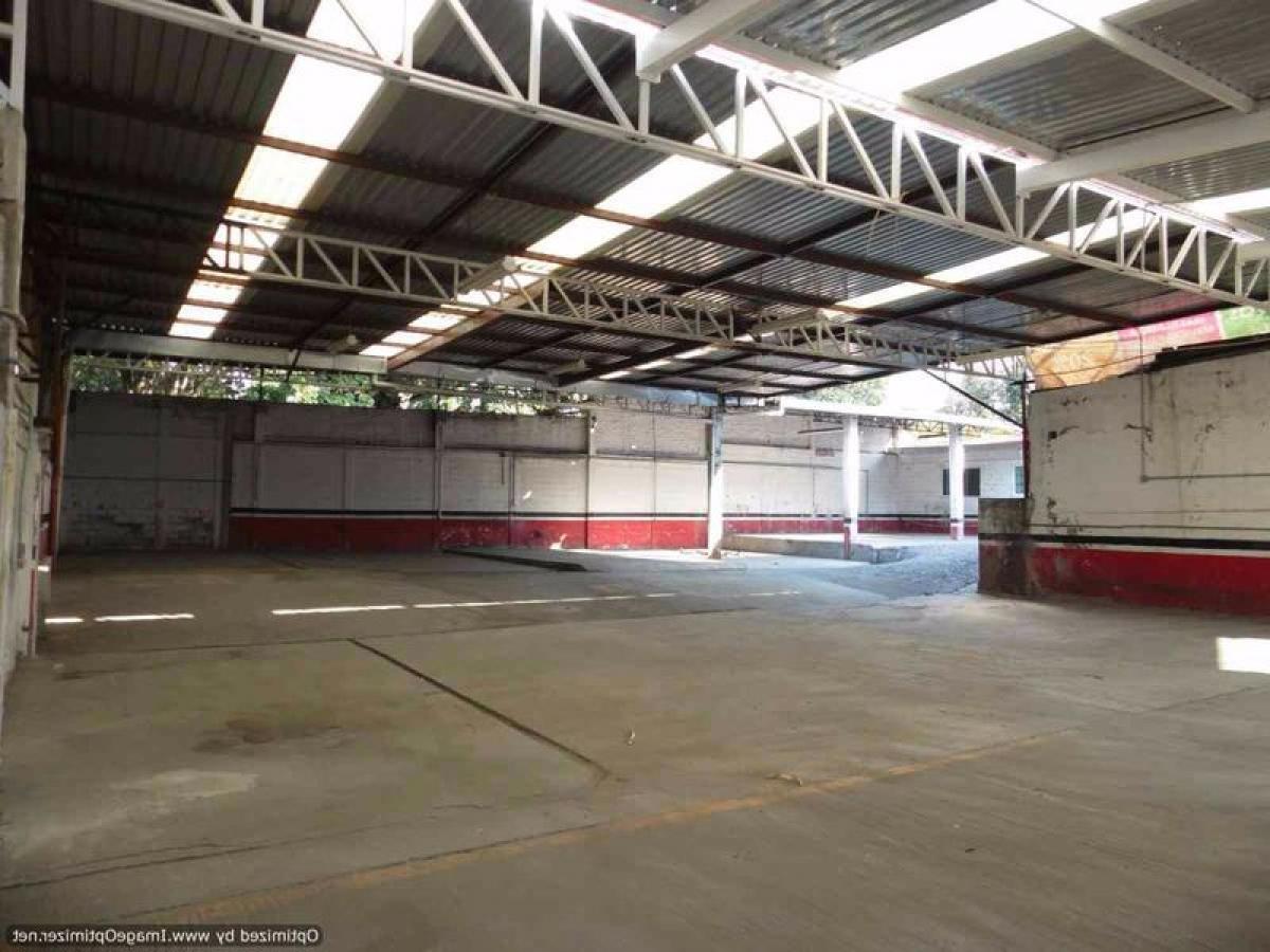 Picture of Penthouse For Sale in Morelos, Morelos, Mexico