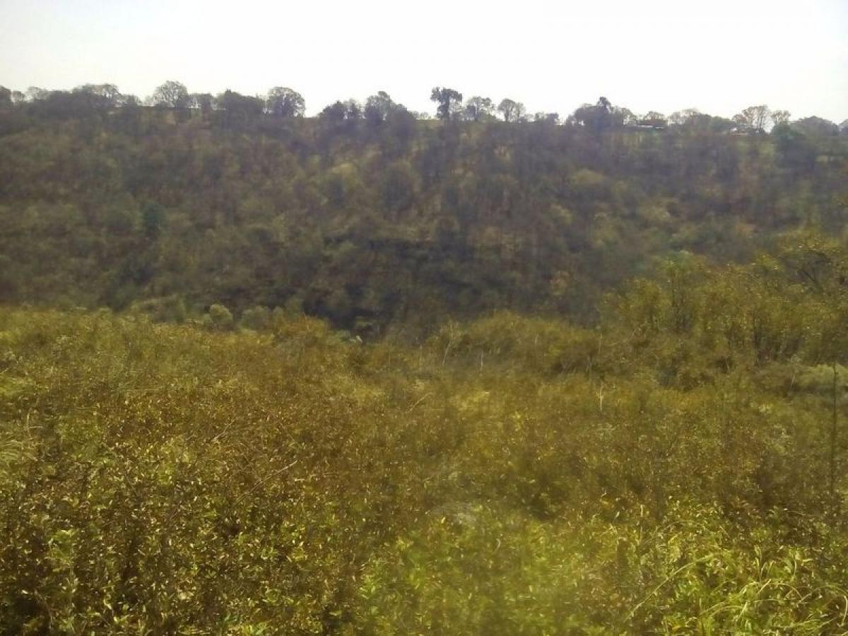 Picture of Residential Land For Sale in Villa Del Carbon, Mexico, Mexico