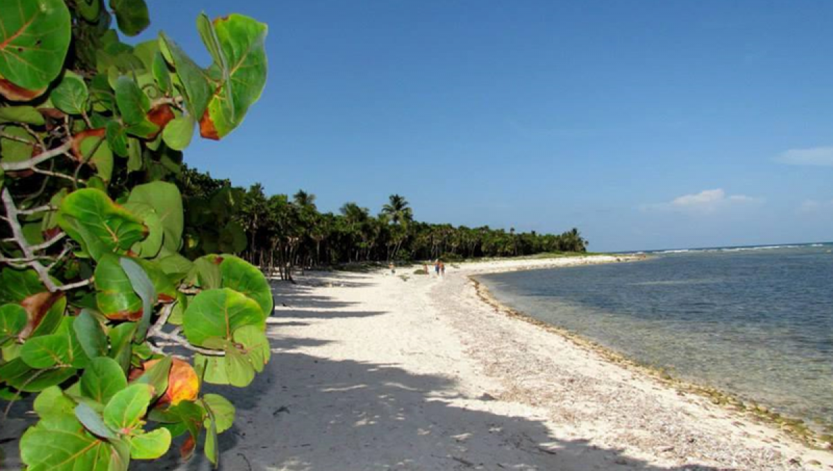 Picture of Residential Land For Sale in Solidaridad, Quintana Roo, Mexico
