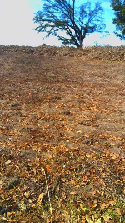 Residential Land For Sale in Villa Del Carbon, Mexico