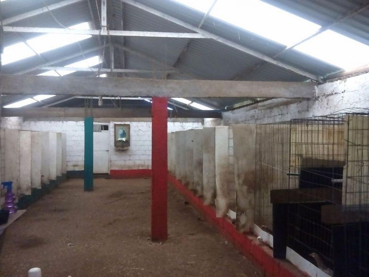 Picture of Residential Land For Sale in Villa Del Carbon, Mexico, Mexico