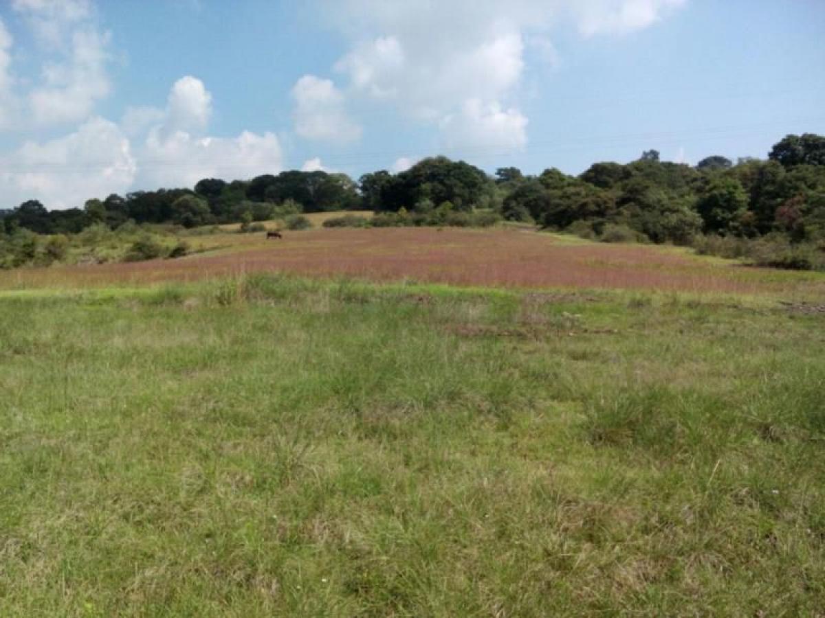Picture of Residential Land For Sale in Nicolas Romero, Mexico, Mexico