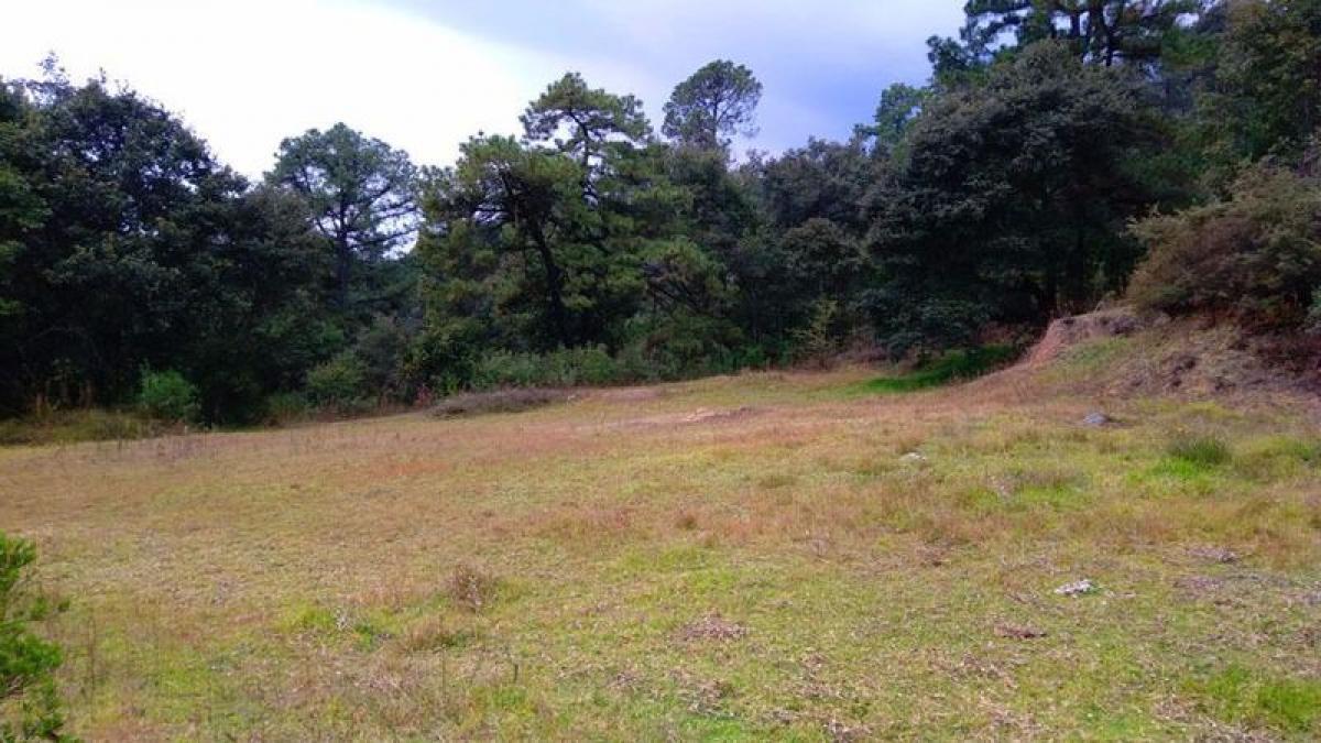 Picture of Residential Land For Sale in Villa Del Carbon, Mexico, Mexico