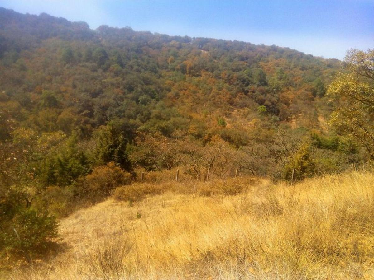 Picture of Residential Land For Sale in Villa Del Carbon, Mexico, Mexico