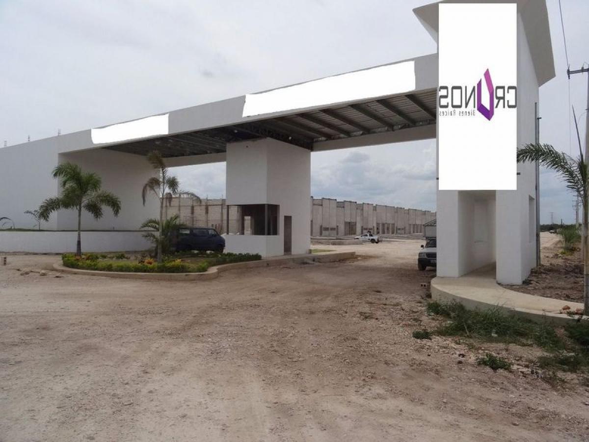 Picture of Penthouse For Sale in Yucatan, Yucatan, Mexico