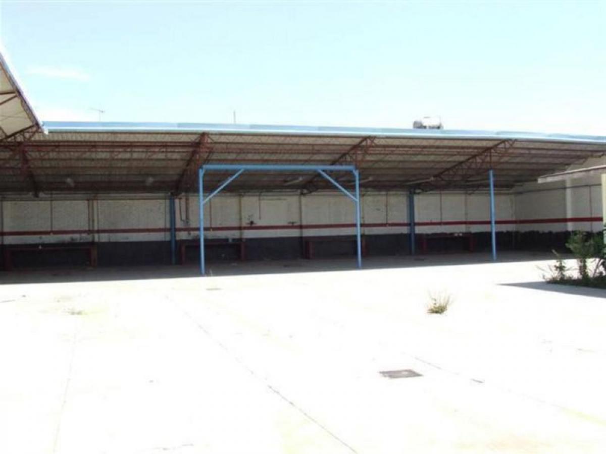 Picture of Penthouse For Sale in Morelos, Morelos, Mexico