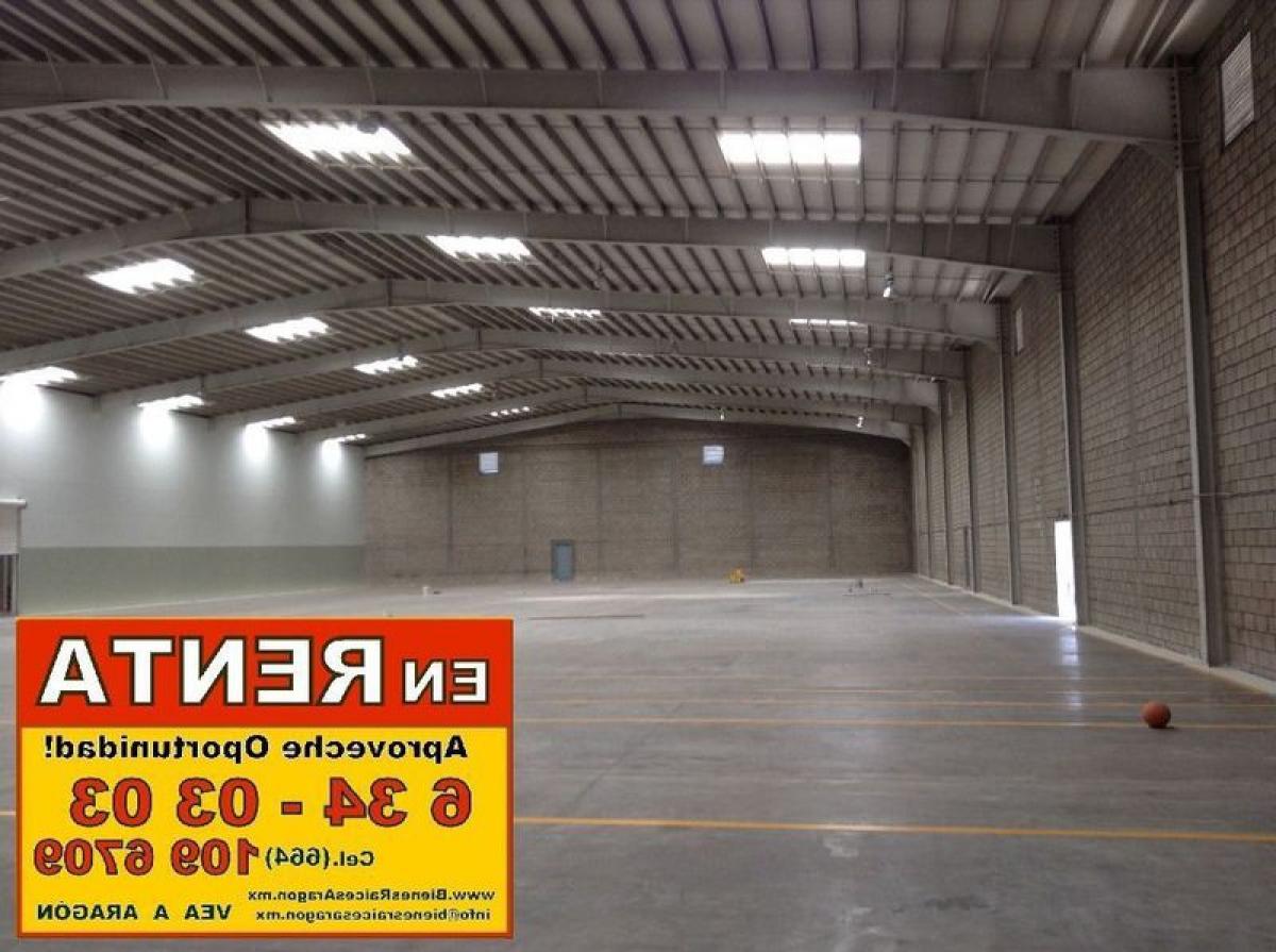 Picture of Penthouse For Sale in Baja California, Baja California, Mexico