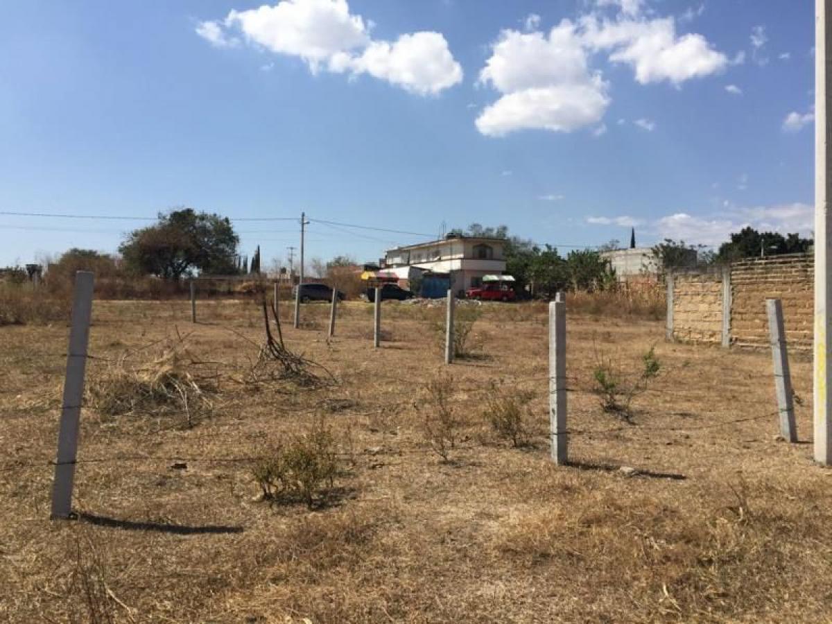 Picture of Residential Land For Sale in Yecapixtla, Morelos, Mexico