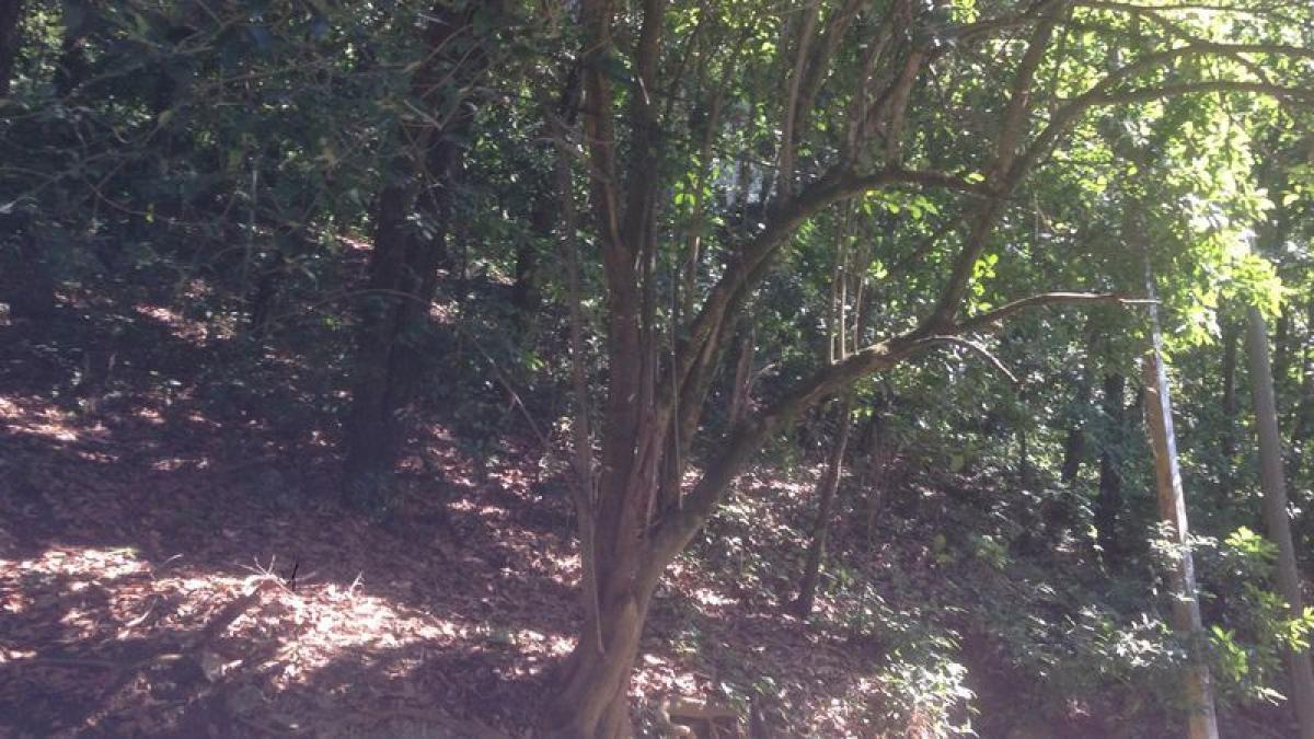 Picture of Development Site For Sale in San Pedro Garza Garcia, Nuevo Leon, Mexico