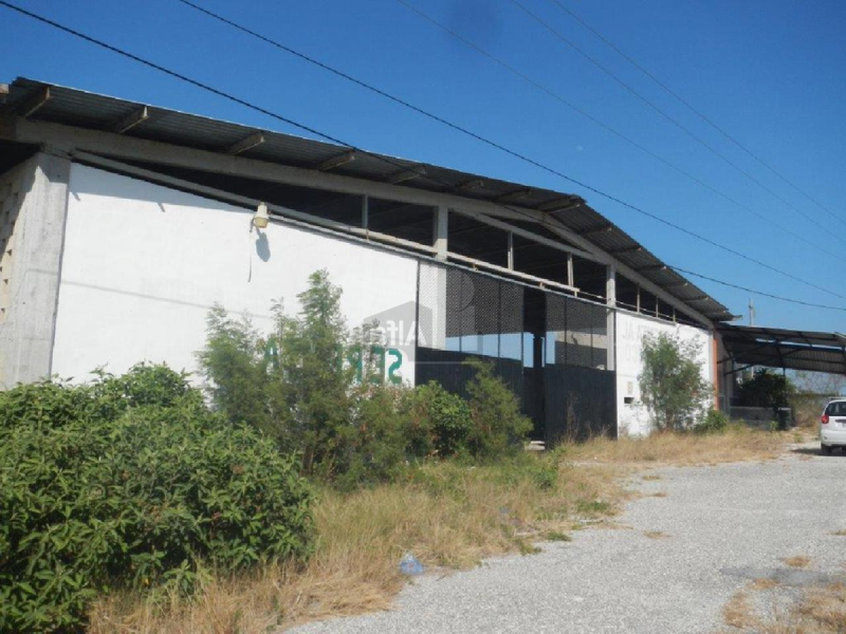 Picture of Other Commercial For Sale in Campeche, Campeche, Mexico