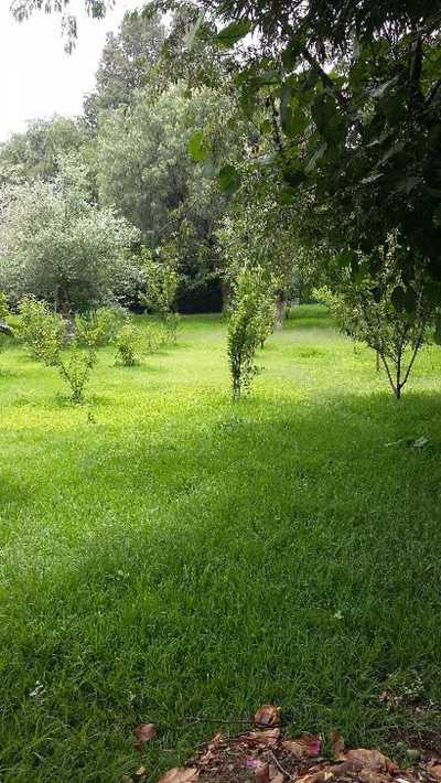 Residential Land For Sale in 