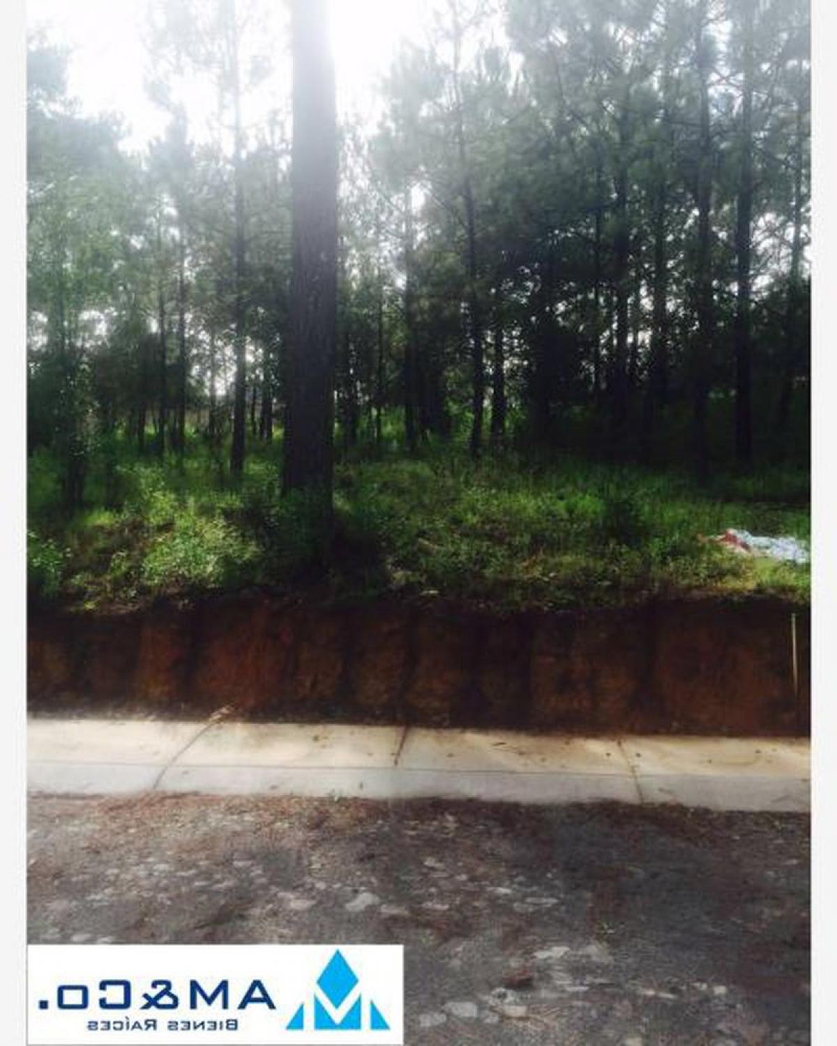 Picture of Residential Land For Sale in Amacueca, Jalisco, Mexico