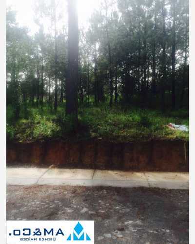 Residential Land For Sale in Amacueca, Mexico