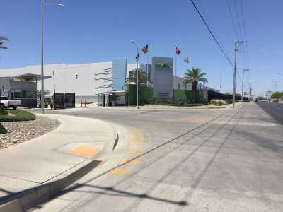 Other Commercial For Sale in Sonora, Mexico