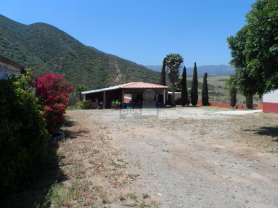 Residential Land For Sale in