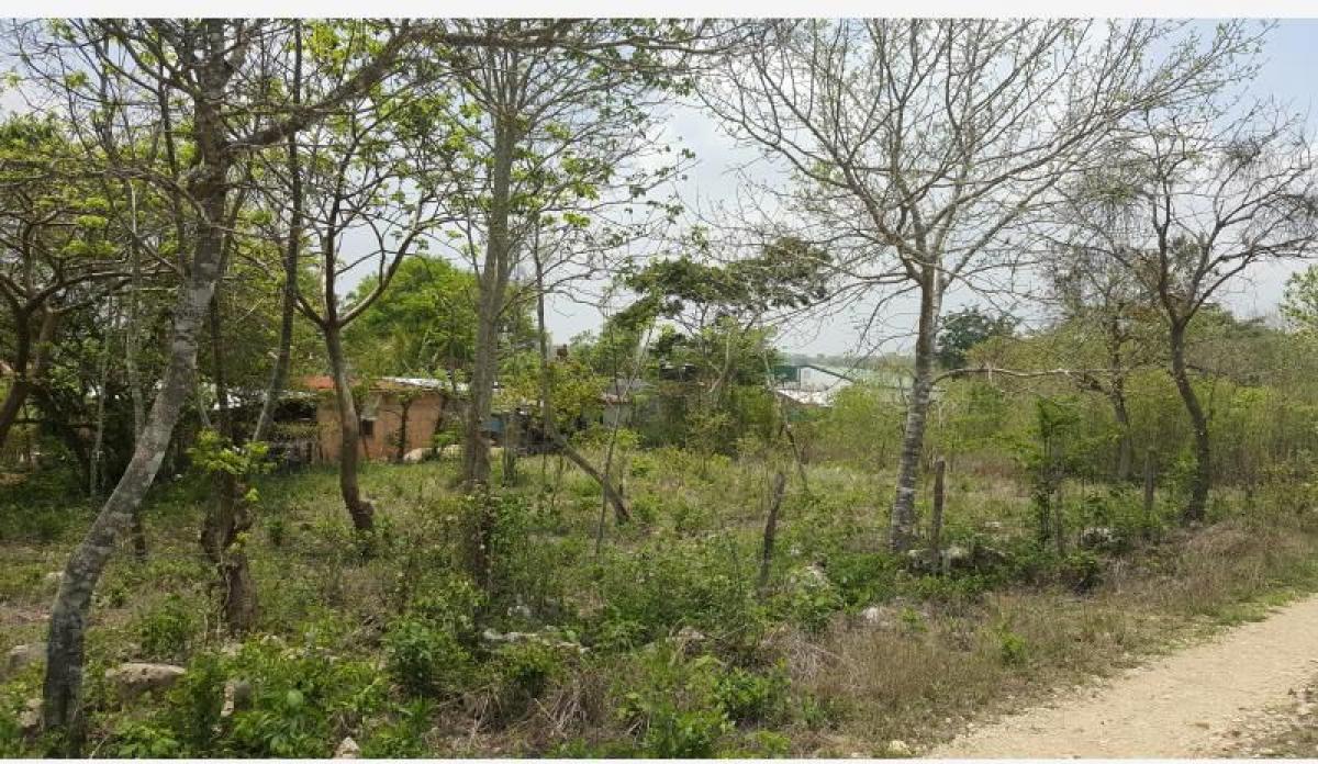Picture of Residential Land For Sale in Ocozocoautla De Espinosa, Chiapas, Mexico