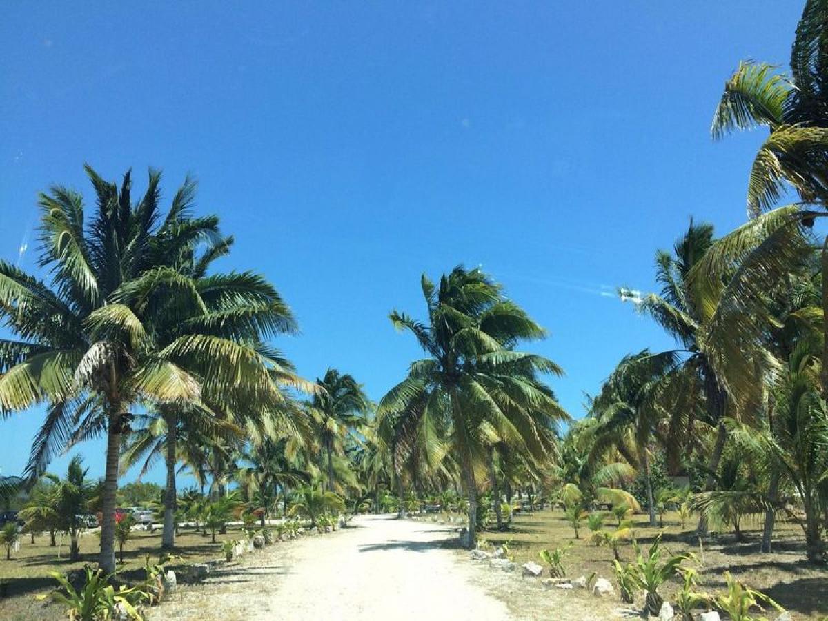 Picture of Residential Land For Sale in Dzemul, Yucatan, Mexico