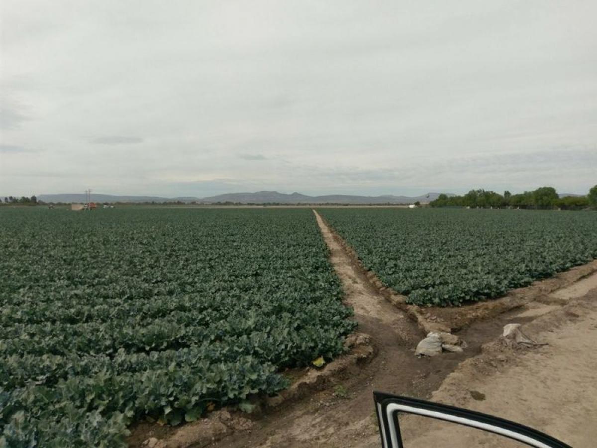 Picture of Development Site For Sale in Guanajuato, Guanajuato, Mexico