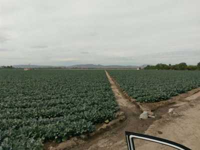 Development Site For Sale in Guanajuato, Mexico