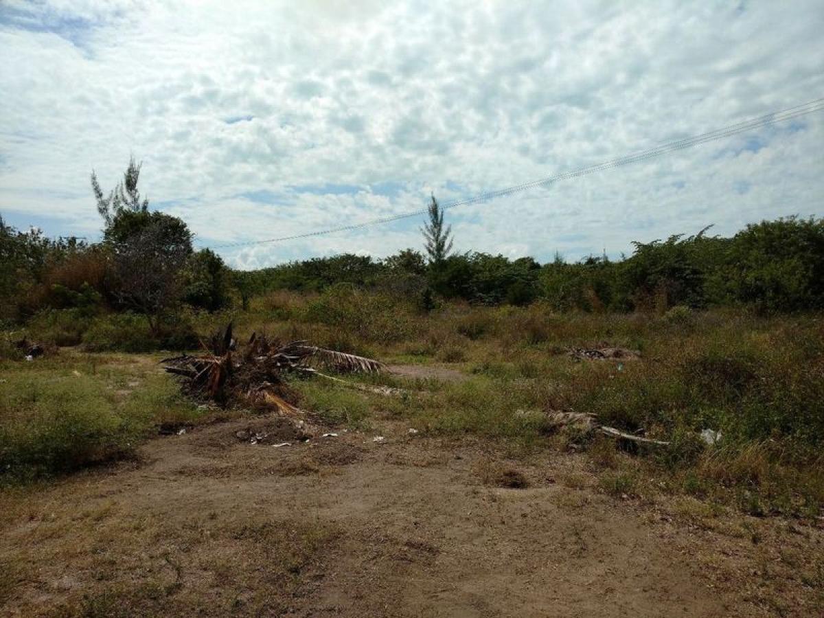 Picture of Residential Land For Sale in Othon P. Blanco, Quintana Roo, Mexico