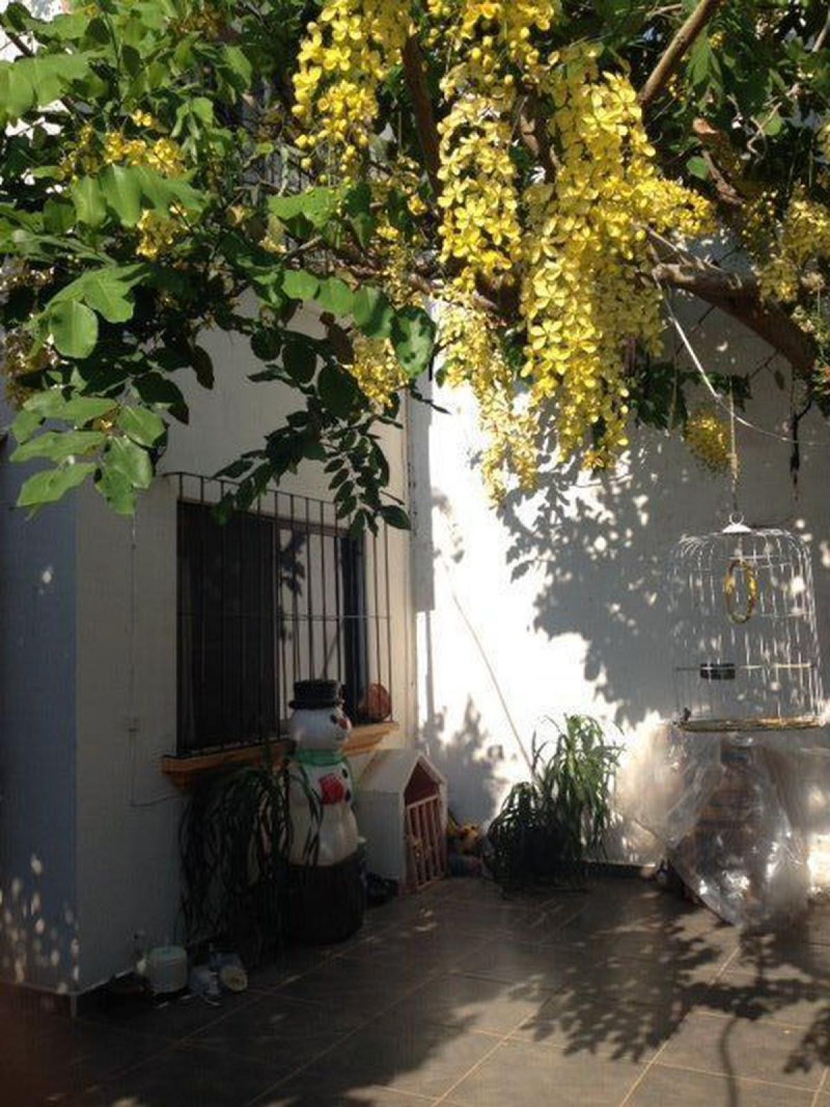 Picture of Home For Sale in Chiapas, Chiapas, Mexico