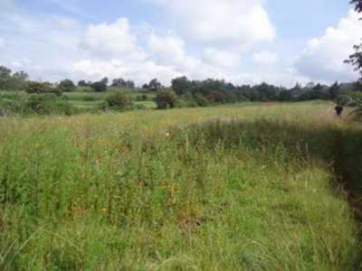 Residential Land For Sale in Villa Del Carbon, Mexico