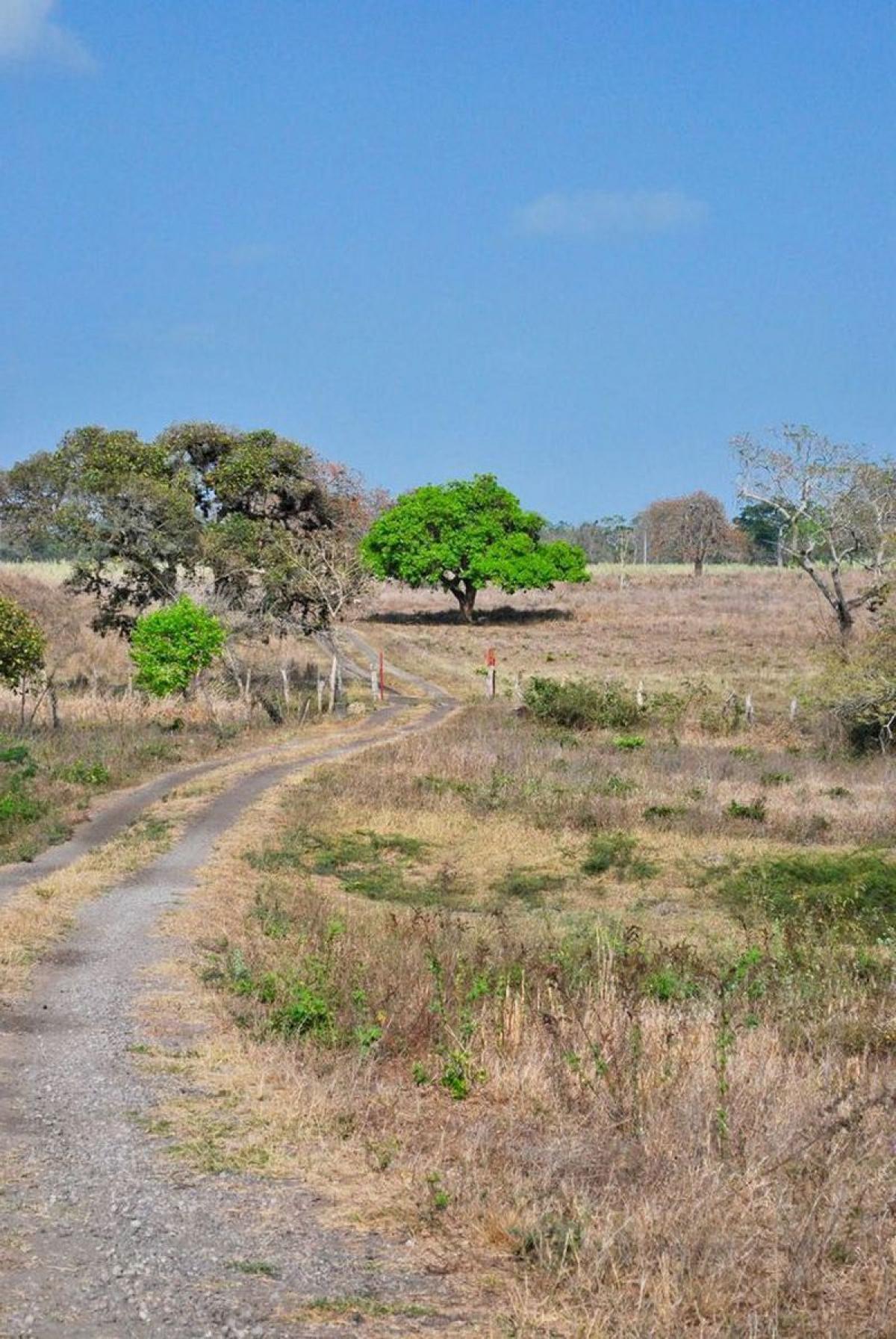 Picture of Development Site For Sale in Veracruz De Ignacio De La Llave, Veracruz, Mexico