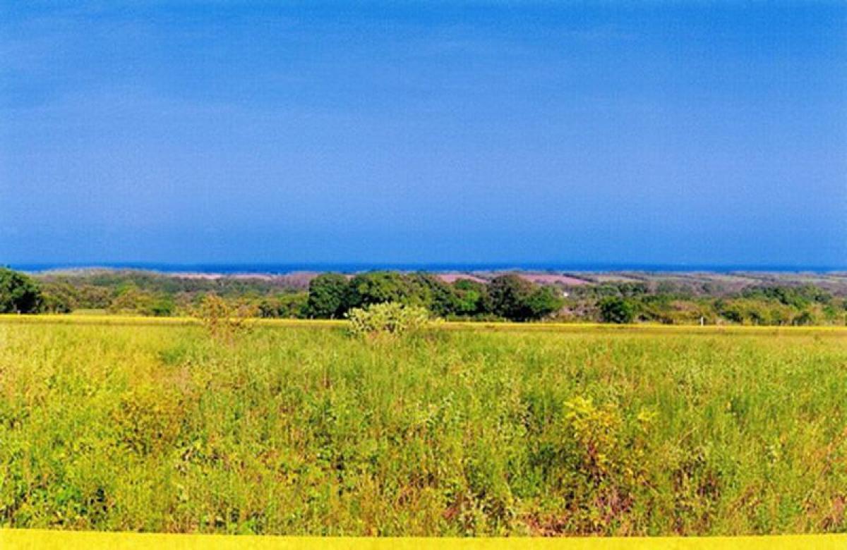 Picture of Other Commercial For Sale in Tijuana, Baja California, Mexico