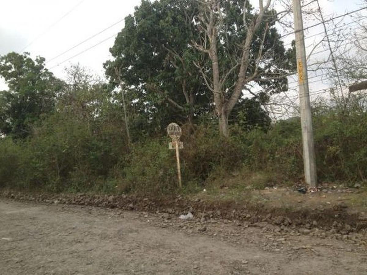 Picture of Other Commercial For Sale in Tijuana, Baja California, Mexico