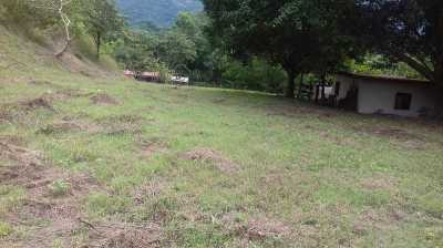 Other Commercial For Sale in Tamazunchale, Mexico