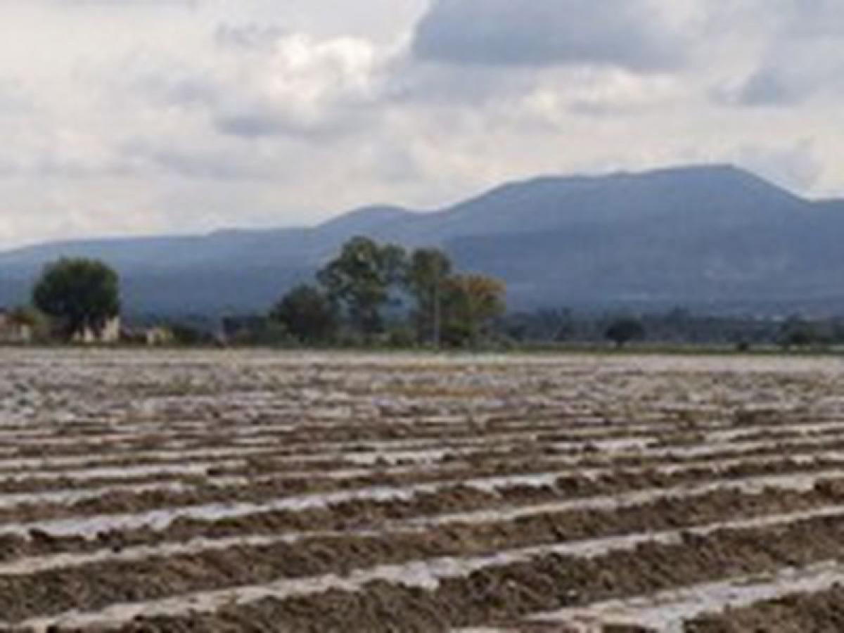 Picture of Other Commercial For Sale in San Luis De La Paz, Guanajuato, Mexico