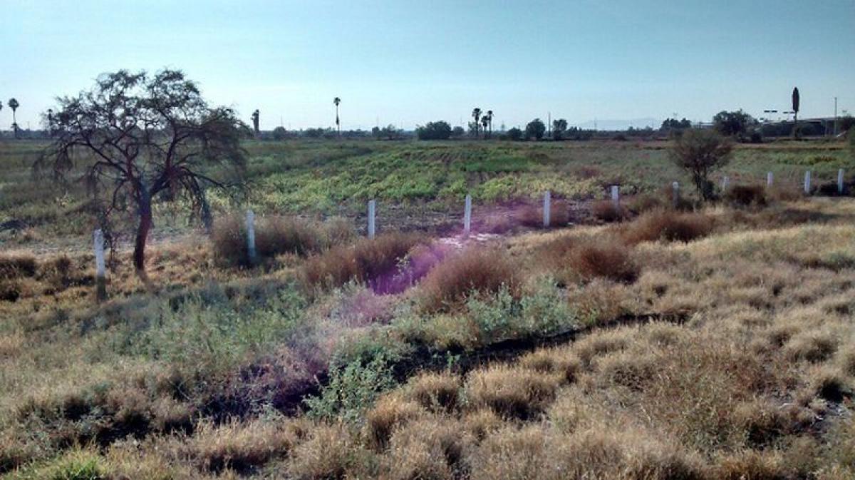 Picture of Other Commercial For Sale in Gomez Palacio, Durango, Mexico