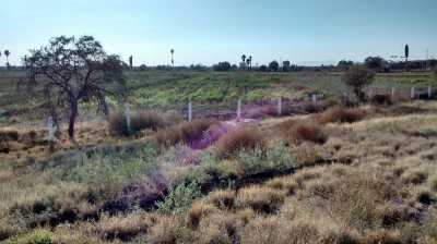 Other Commercial For Sale in Gomez Palacio, Mexico