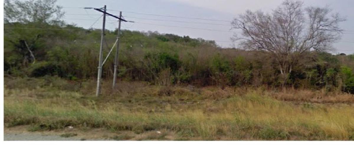 Picture of Other Commercial For Sale in Tamuin, San Luis Potosi, Mexico