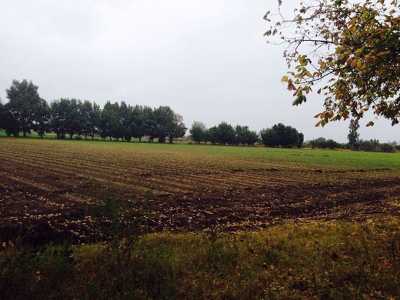 Other Commercial For Sale in San Luis Potosi, Mexico