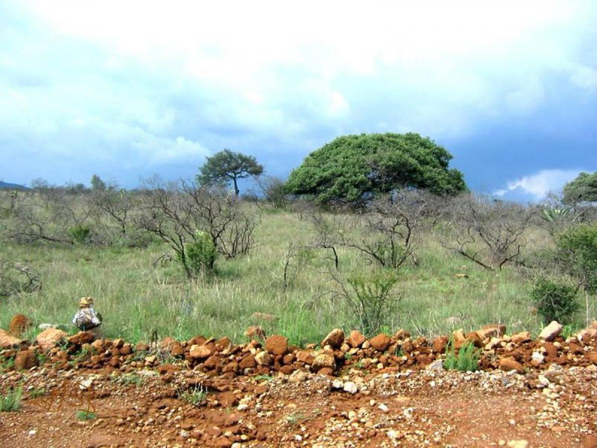 Picture of Other Commercial For Sale in Hidalgo, Hidalgo, Mexico