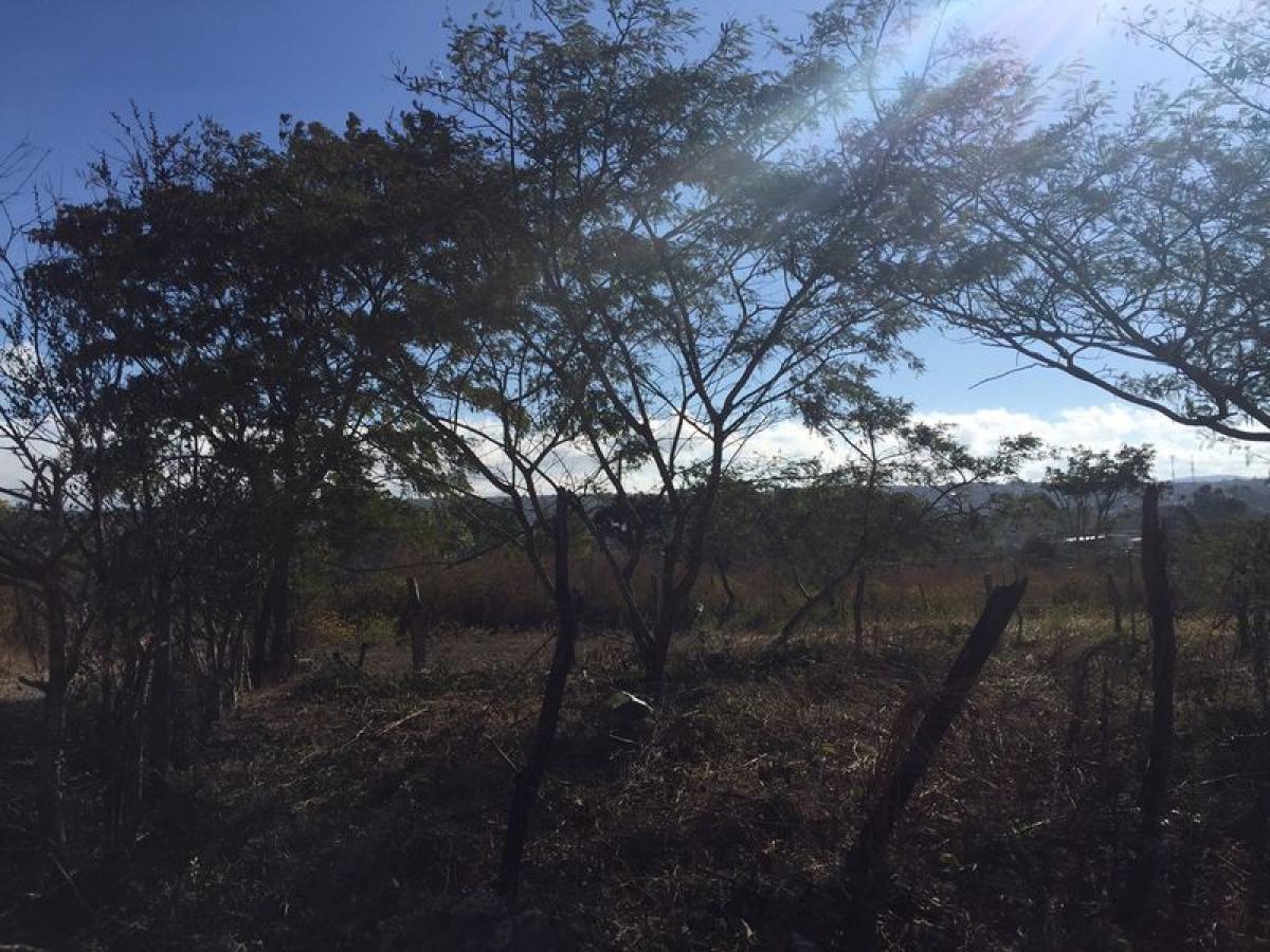 Picture of Other Commercial For Sale in Motozintla, Chiapas, Mexico