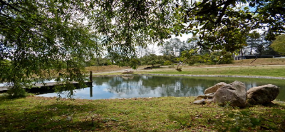 Other Commercial For Sale in Donato Guerra, Mexico