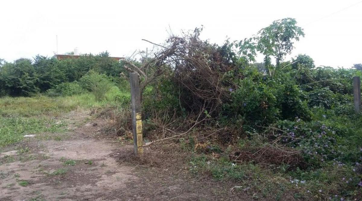 Picture of Other Commercial For Sale in Veracruz, Veracruz, Mexico