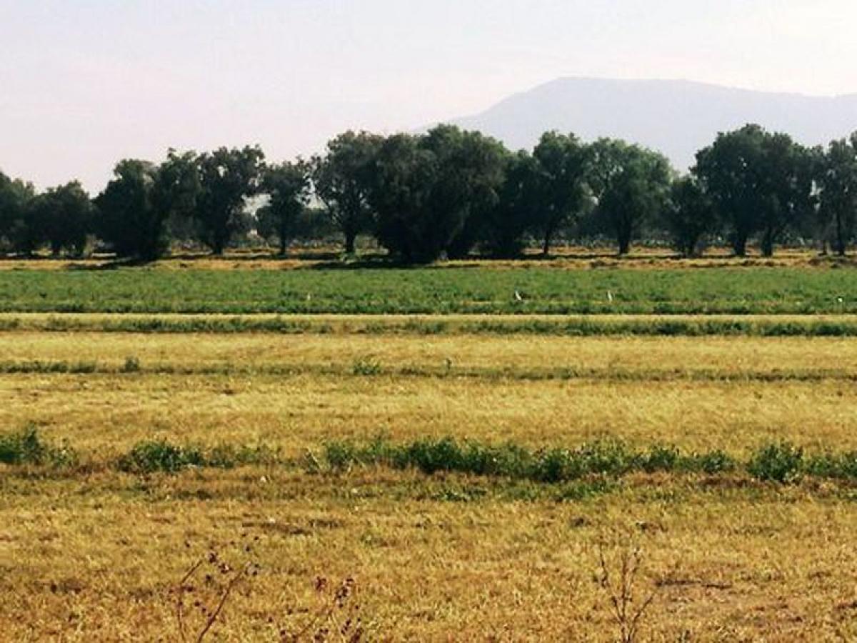 Picture of Residential Land For Sale in Teotihuacan, Mexico, Mexico