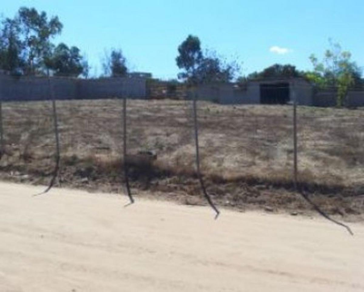 Picture of Other Commercial For Sale in Ensenada, Baja California, Mexico