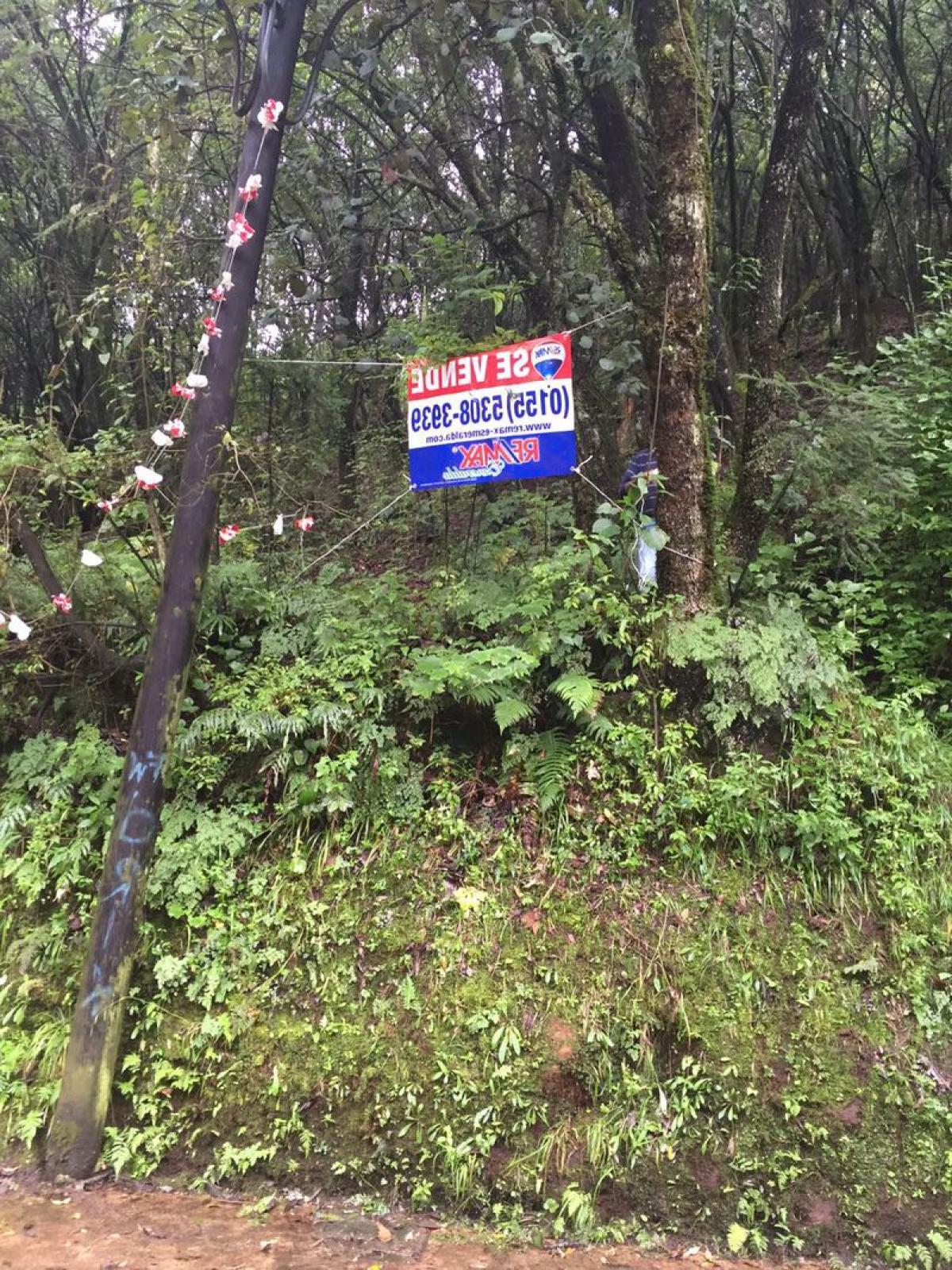 Picture of Other Commercial For Sale in Jilotzingo, Mexico, Mexico